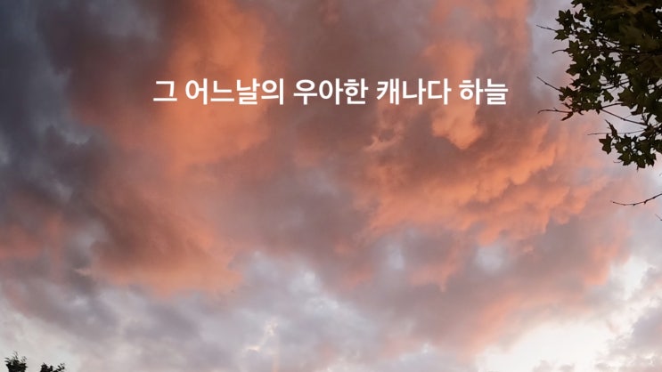  그 어느 날 우아한 하늘과 마주하다. 캐나다에서...
