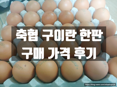 [구이란]축협 구이란 한판 구매후기/맥반석/훈제란/구운계란/구이란 한판 가격