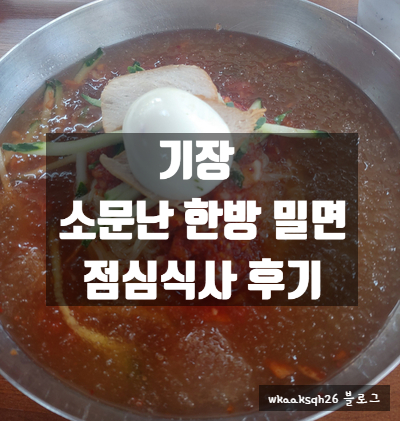  [기장]소문난 가야 한방 밀면 가격