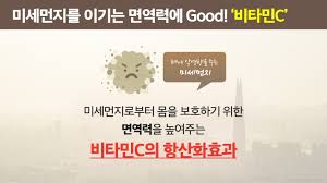  필수비타민C 효능부작용 : 항산화 면역력강화 빈혈 혈관건강 우울증 피부 비타민C권장량