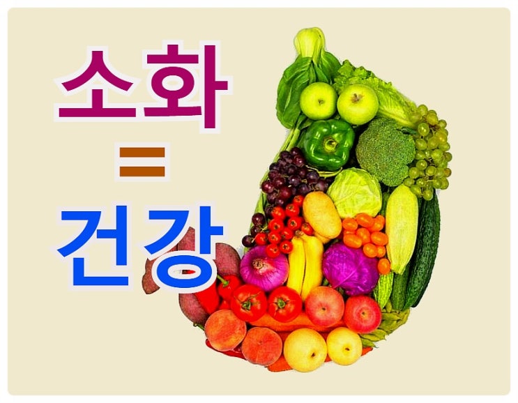  두부와 양배추, 고구마...  소화 잘되는 음식이 왜 건강에 좋을까?