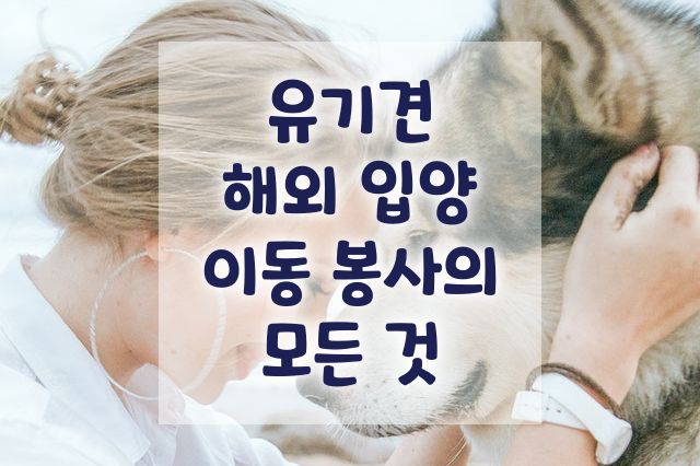 해외입양 유기견 이동 봉사 과정 및 절차 (캐나다 및 미국 유기견 입양) | 사지 마세요. 입양하세요!