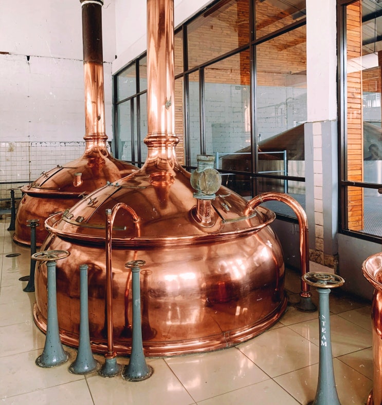  맥주는 어떻게 만들어질까? 맥주 양조 과정 1편