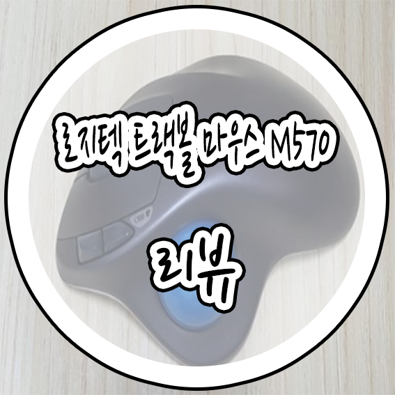  편리한물건들 고정되어있는 마우스 로지텍 트랙볼 마우스 M570 리뷰