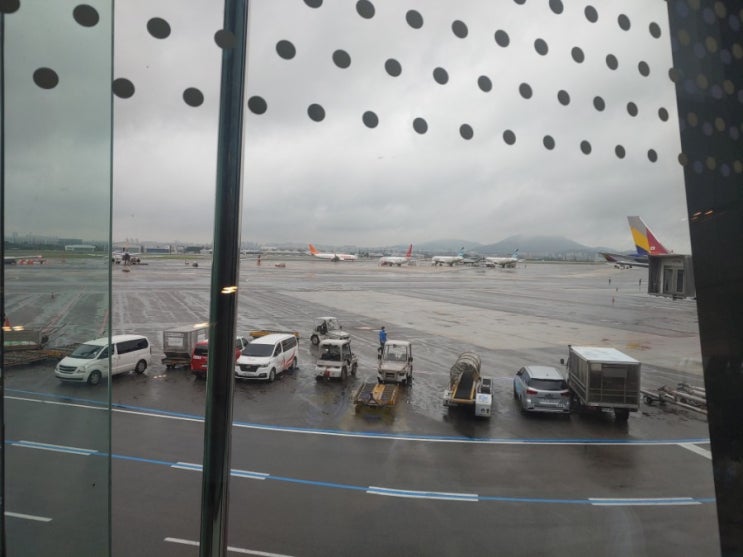  울산으로 여름 휴가기간동안 이곳저곳 다녀옴