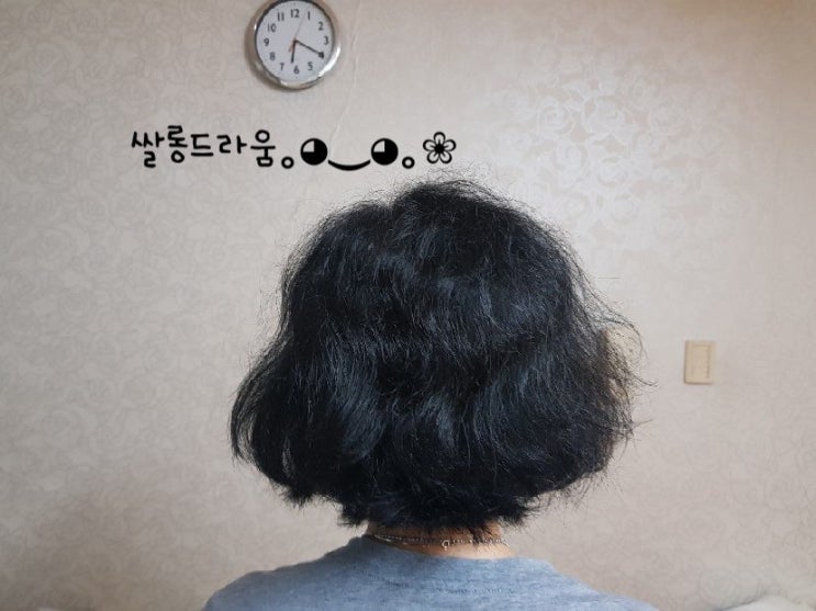  볼륨매직