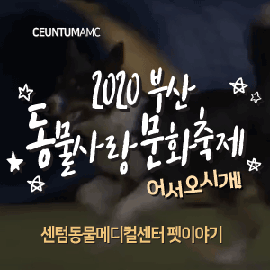  [동물뉴스]2020 부산 동물사랑 문화축제 어서오시개!