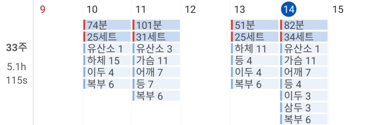  [헬스 10주차 - 41일] 금요일 - 가슴등삼두 : 상체할때는스트랩그닥