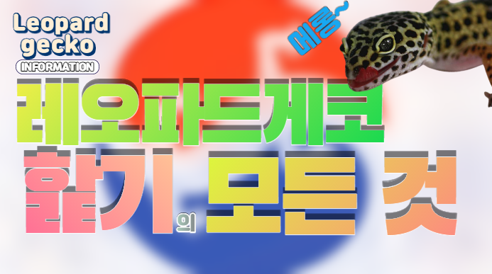  |ZKR| 레오파드게코 핥기의 모든 것