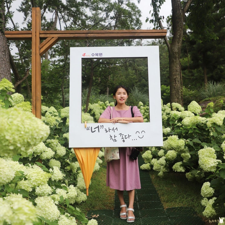  해남 가볼만한곳 대흥사 & 포레스트수목원 외 베스트