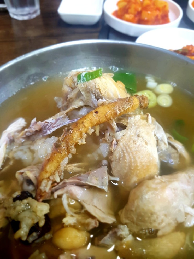  말복 삼계탕 잠실 동대문 닭한마리 후기