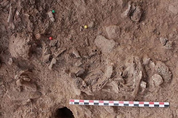 9000년 전 인류 조상, ‘화장 장례’ 치렀다…화장터 발견(연구)