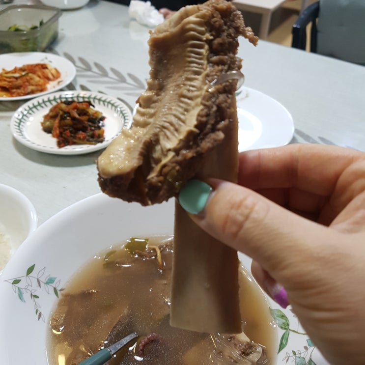  갈비탕