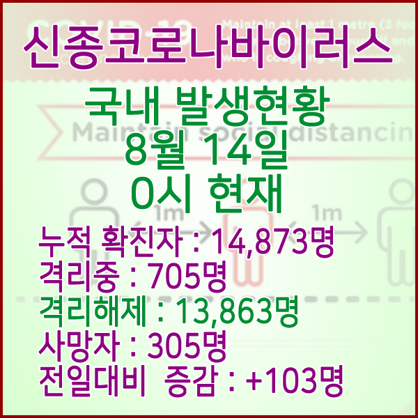  코로나19(코로나바이러스) 8월 14일 0시 국내(해외포함) 발병 14,873명 / 13,863명 완치 격리해제 / 사망자 305명