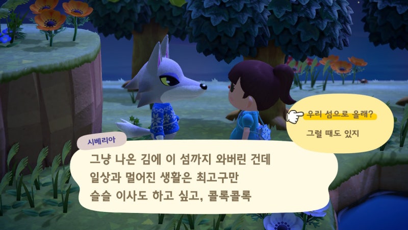 모동숲 주민 데려오기 - 초기주민 노가다 (Feat.마일섬 결과는? 사진 많음 주의) : 네이버 블로그