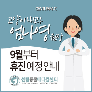  고양이 내과 엄나영 원장 9월부터 휴진 예정 안내 (부산 수영 센텀동물메디컬센터)