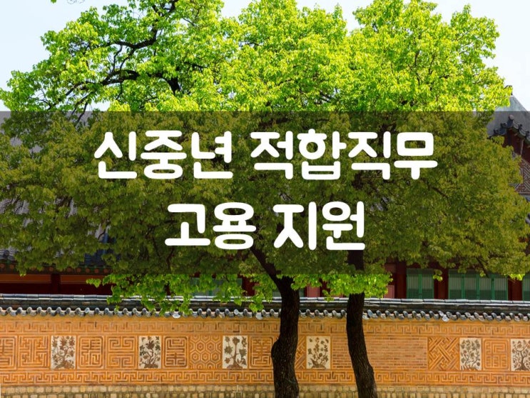  5060 채용하면 1인당 월 80만원 지원