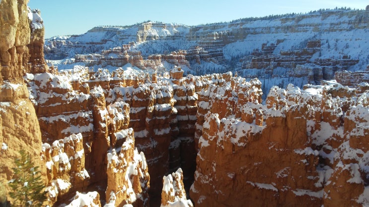  한겨울 3대캐년 3박4일 여행 3 | 브라이스 캐년 Bryce Canyon & Glen Canyon Dam