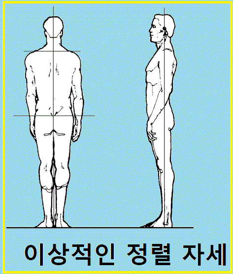  온라인 PT "이상적인 신체 중립자세 이 글을 보고 한번 체크해보세요"