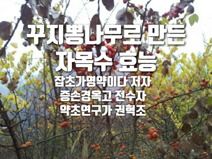  꾸지뽕나무로 만든 자목수