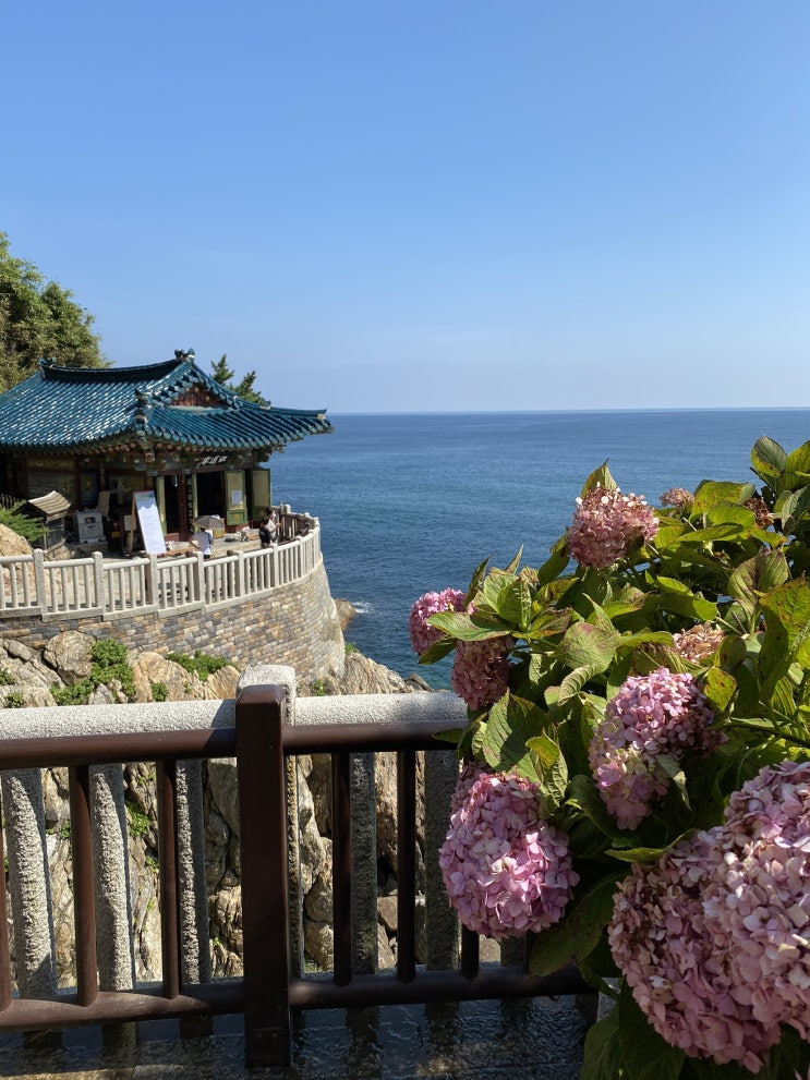  강원도 양양 1박 2일 여행기 : 양양중앙시장, 어느멋진날 펜션, 정암해변 야경, 낙산사, 범바우막국수, 카페맴맴