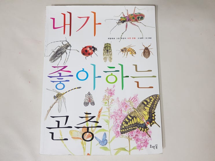  내가 좋아하는 세트(세밀화로 그린 어린이 자연관찰)  ' 내가 좋아하는 곤충'