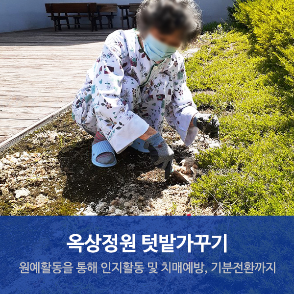 수원요양병원 "옥상정원 텃밭가꾸기 원예활동"