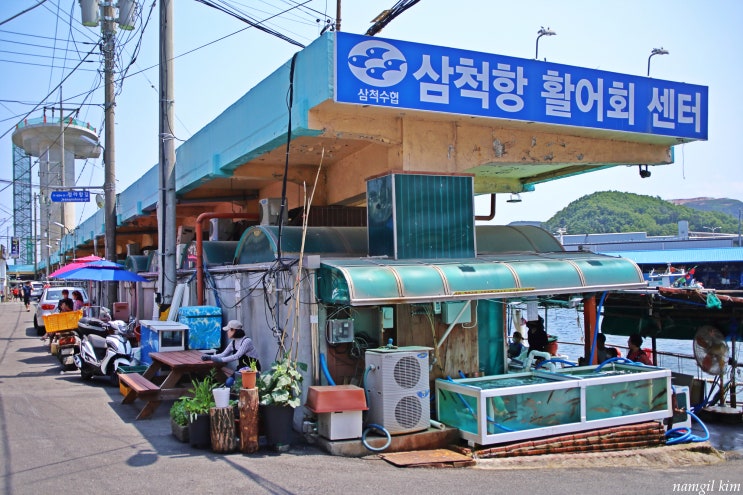 삼척 가볼만한 곳, 삼척항 활어회센터