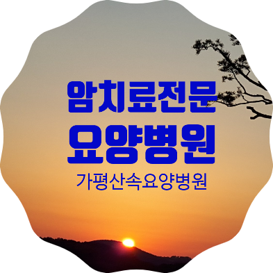 서울 근교 암을 전문으로 치료하는 가평산속요양병원 병문안 후기