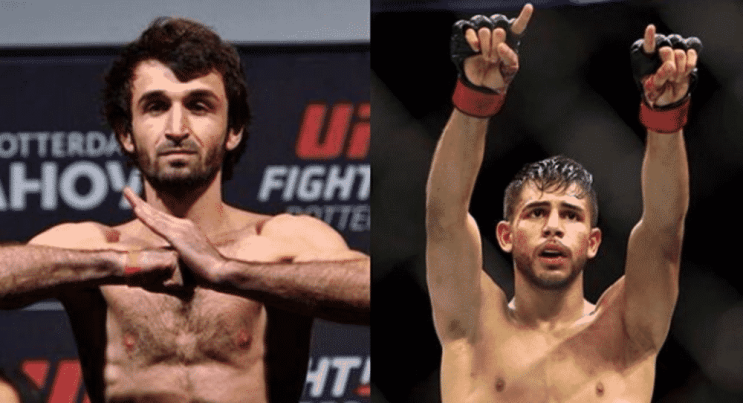 자빗 대 야이르 UFC 254 3라운드로 일정 재조정 등 MMA 뉴스 자빗 대 야이르 UFC 254 3라운드로 일정 재조정 등 MMA 뉴스