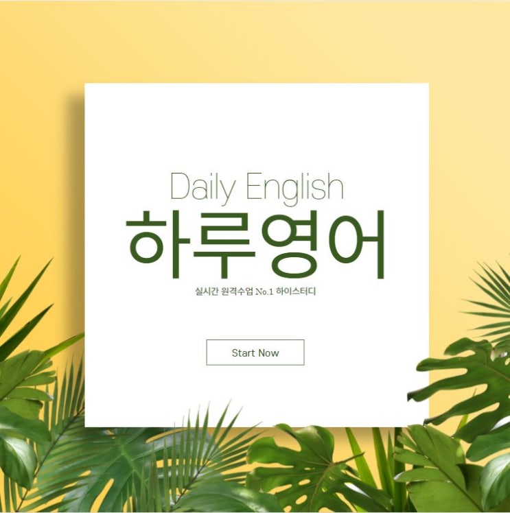  [하이스터디] 하루영어표현 -악의는 없어요-