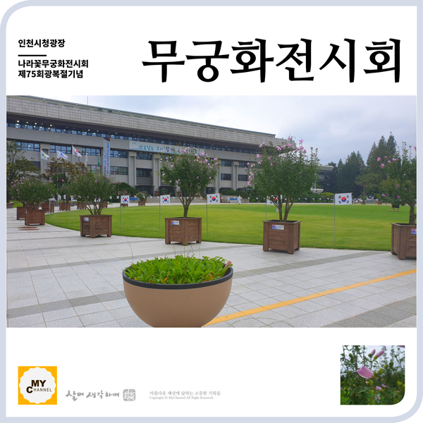  인천시청 애뜰광장에서 '나라꽃 무궁화 전시회'를 하네요.