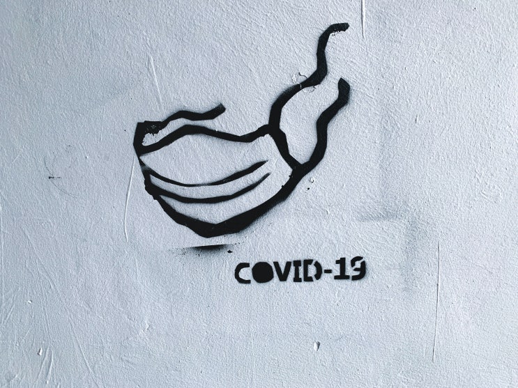  [워니의 코로나19 증상 알아보기] 코로나19란? 코로나19 의미 및  현황(수도권 사회적 거리두기 2단계 상향 검토)