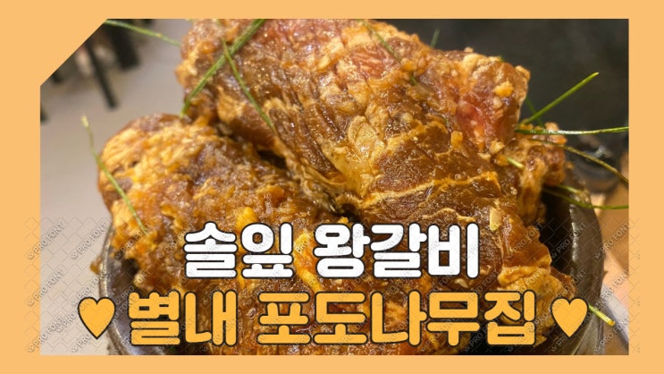 남양주 돼지갈비맛집. 별내 포도나무집 솔잎왕갈비는  언제가도 변함없는 동네 주민만 아는 숨겨진 맛집