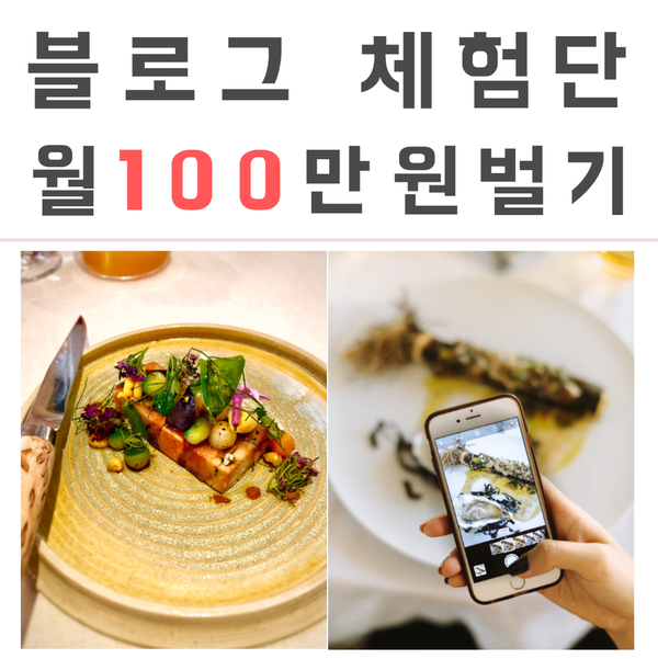  블로그 체험단 월100만원 불가능할거라 생각하시나요? 체험단의 교과서 최광자 블로그 체험단