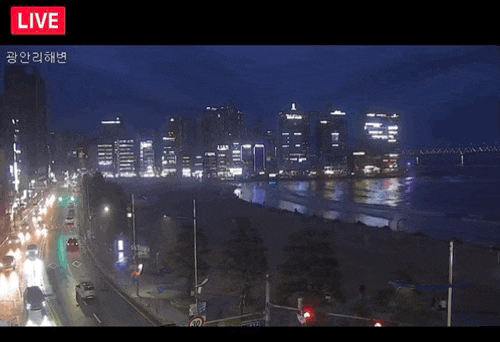  기상청보다 확실한 네이버 지도 cctv