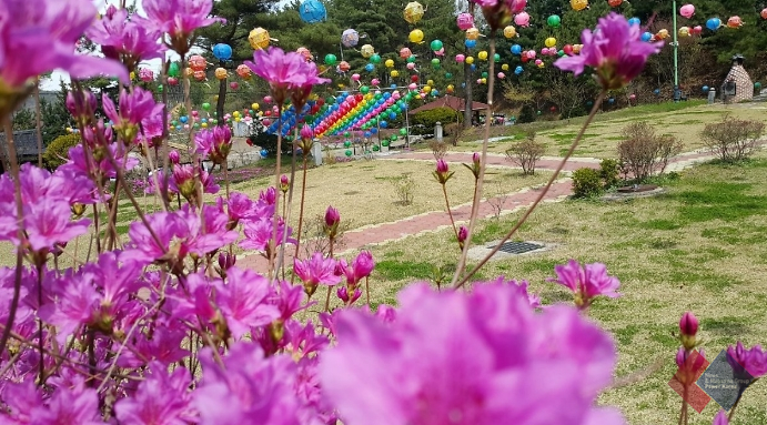  용인 가볼만한 사찰, 풍수지리적으로 완벽하다 평가받은 절 보광사에 대한 짧은 이야기