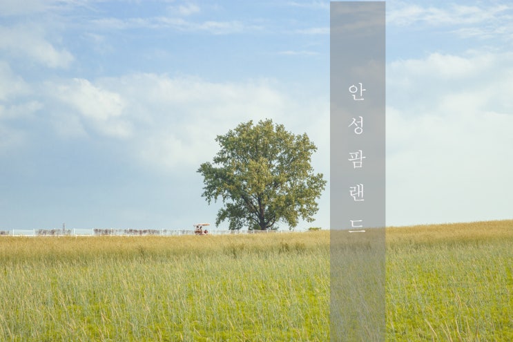  안성팜랜드 - 안성 가볼만한곳