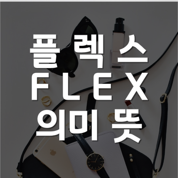  플렉스 해버렸지뭐야? flex 플렉스 뜻 의미 !