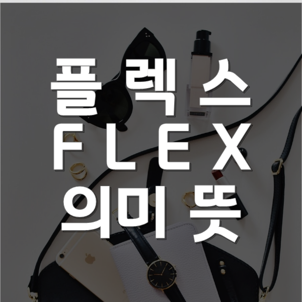 플렉스 해버렸지뭐야? flex 플렉스 뜻 의미 !