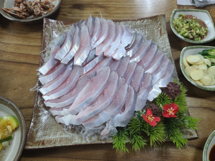  천사의섬광명맛집병어회