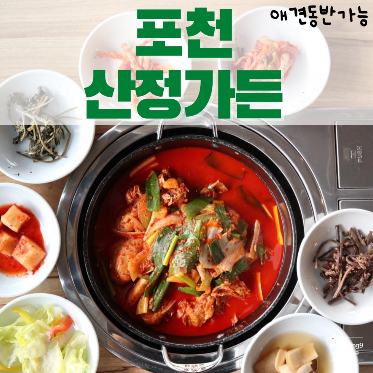  [포천 애견동반] 산정호수 근처 계곡 백숙맛집 <산정가든>
