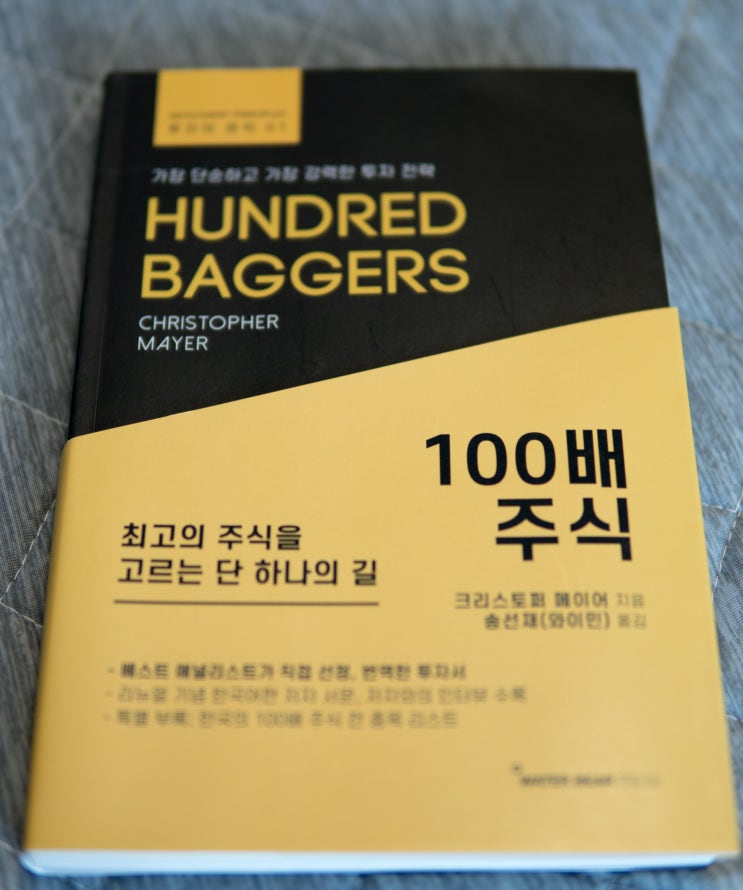  100배 오를 최고의 주식을 찾는 10가지 방법 100배 주식 크리스토퍼 메이어 송선재(와이민) 옮김