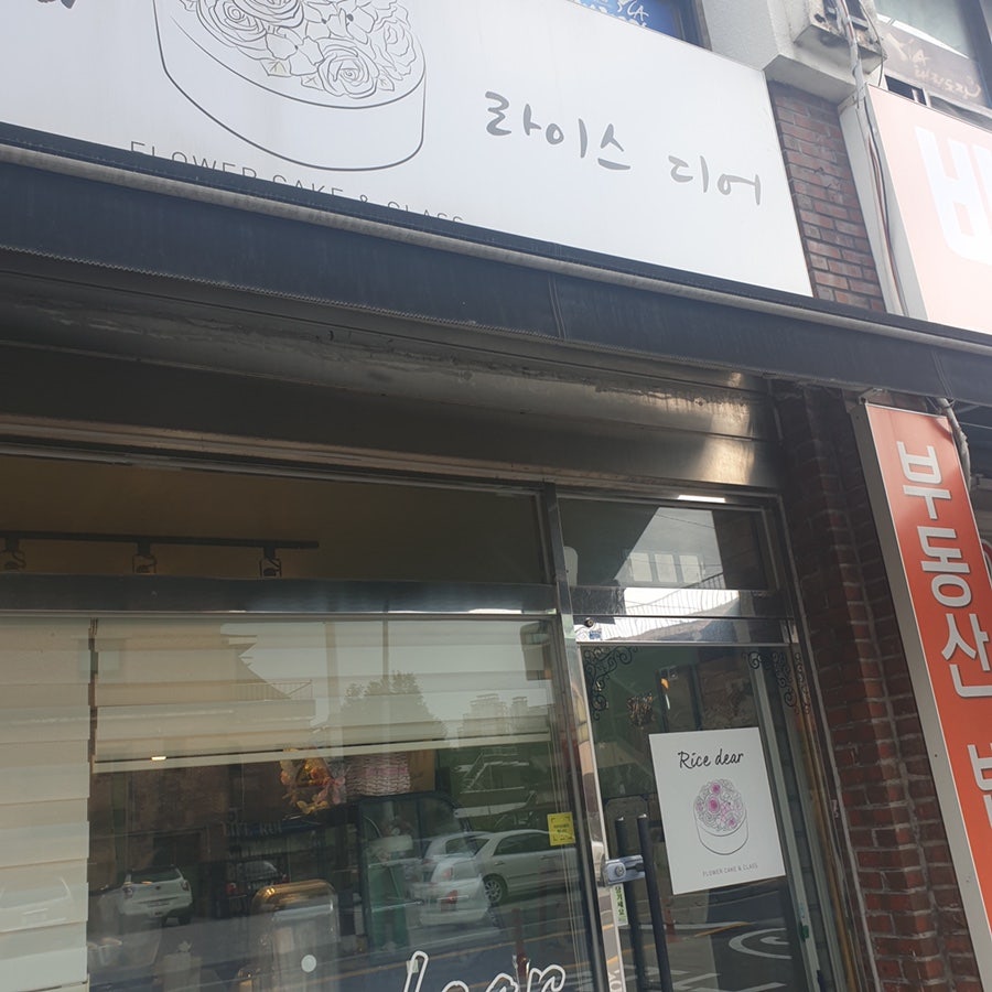 라이스디어 사진 3
