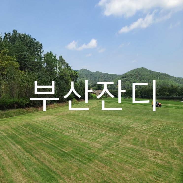  동북아 해양수도 부산 롤잔디 도착