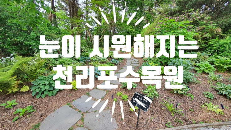  태안 여름휴가 추천 천리포수목원(잘 꾸며진 산림욕코스)