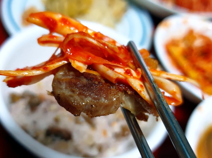  백파더 백종원 파절임레시피와 함께 하는 복날요리