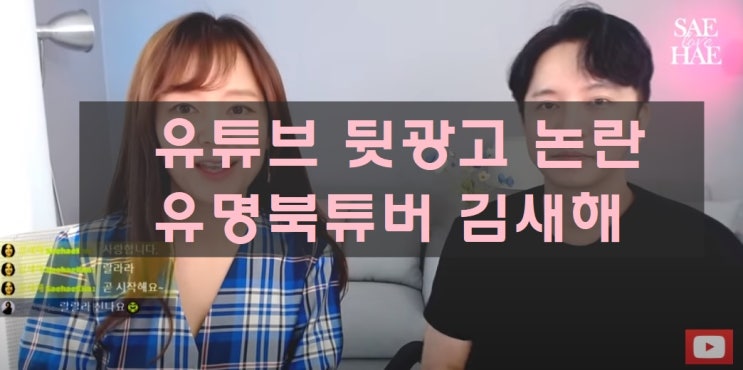 유튜브 뒷광고 논란(김새해 북튜버)에 대한 지극히 개인적인 생각 유튜브 뒷광고 논란(김새해 북튜버)에 대한 지극히 개인적인 생각