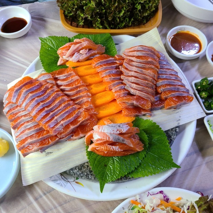  강원 평창 44년 전통 맛집 #남우수산송어회