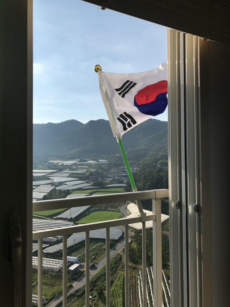 씁쓸한 75주년 광복절 아침 우리동네 태극기 게양 실태 ㅠ 씁쓸한 75주년 광복절 아침 우리동네 태극기 게양 실태 ㅠ